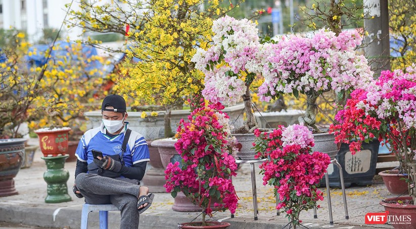 Ảnh: Nhộn nhịp chợ hoa xuân Nhâm Dần ở Đà Nẵng ảnh 6