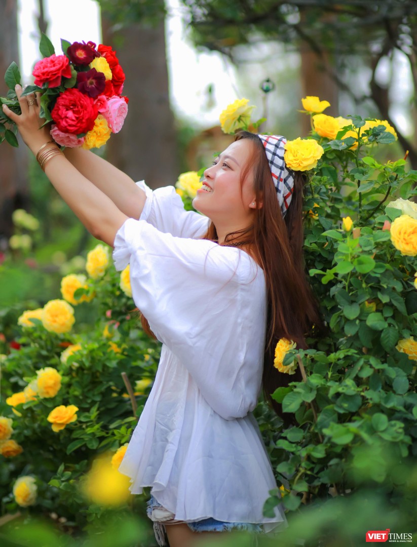 Chàng trai tạo “thiên đường hồng” Ban Mê Garden cho chị em selfie ảnh 1