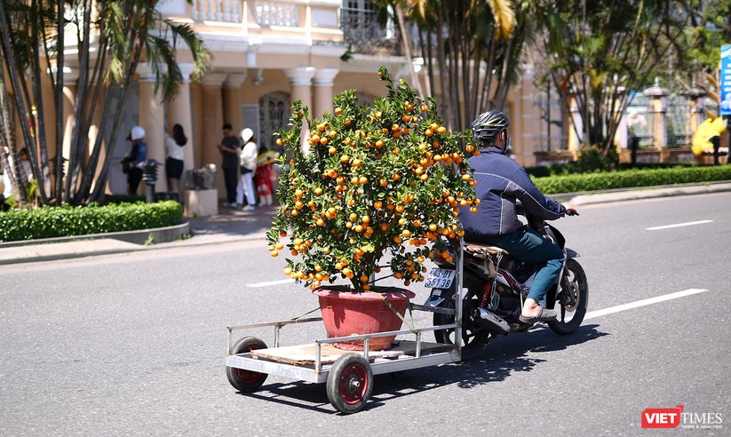 Ảnh: Đà Nẵng nắng đẹp, người dân đổ ra đường hoa đón xuân mới ảnh 24
