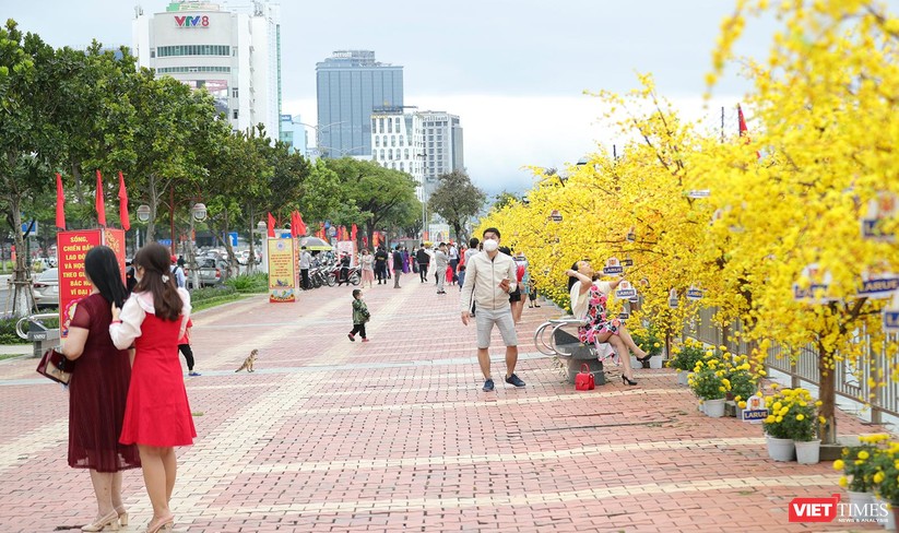 Trời đẹp, người dân Đà Nẵng tranh thủ dạo đường hoa Xuân ngày 29 Tết ảnh 10