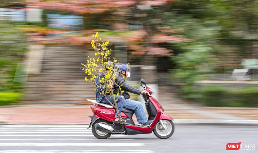 Trời đẹp, người dân Đà Nẵng tranh thủ dạo đường hoa Xuân ngày 29 Tết ảnh 17