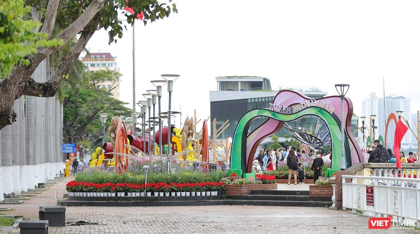 Trời đẹp, người dân Đà Nẵng tranh thủ dạo đường hoa Xuân ngày 29 Tết ảnh 3