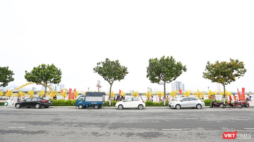 Trời đẹp, người dân Đà Nẵng tranh thủ dạo đường hoa Xuân ngày 29 Tết ảnh 9