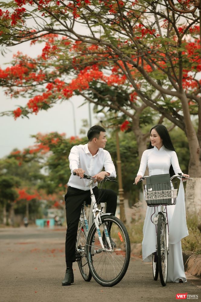 Áo trắng chào hè, tháng 5 sân trường rực màu hoa phượng ảnh 2