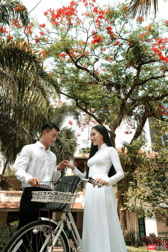 Áo trắng chào hè, tháng 5 sân trường rực màu hoa phượng ảnh 5
