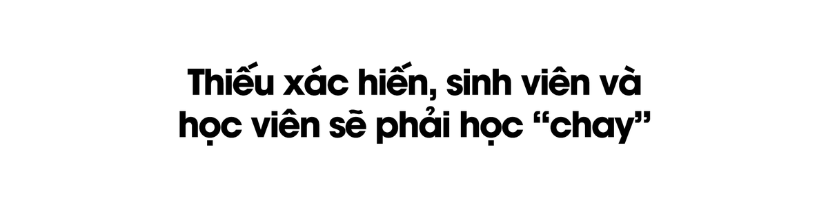 Xác hiến - người thầy vĩ đại của tất cả các bác sĩ ảnh 3