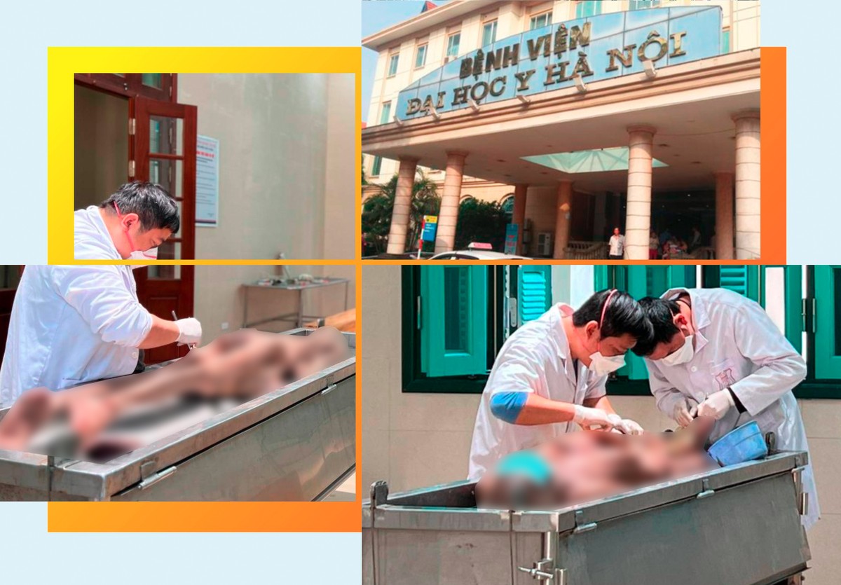Xác hiến - người thầy vĩ đại của tất cả các bác sĩ ảnh 2