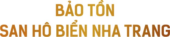 CEO KDI Holdings: “Chọn cách riêng để tạo giá trị cộng đồng“ ảnh 14