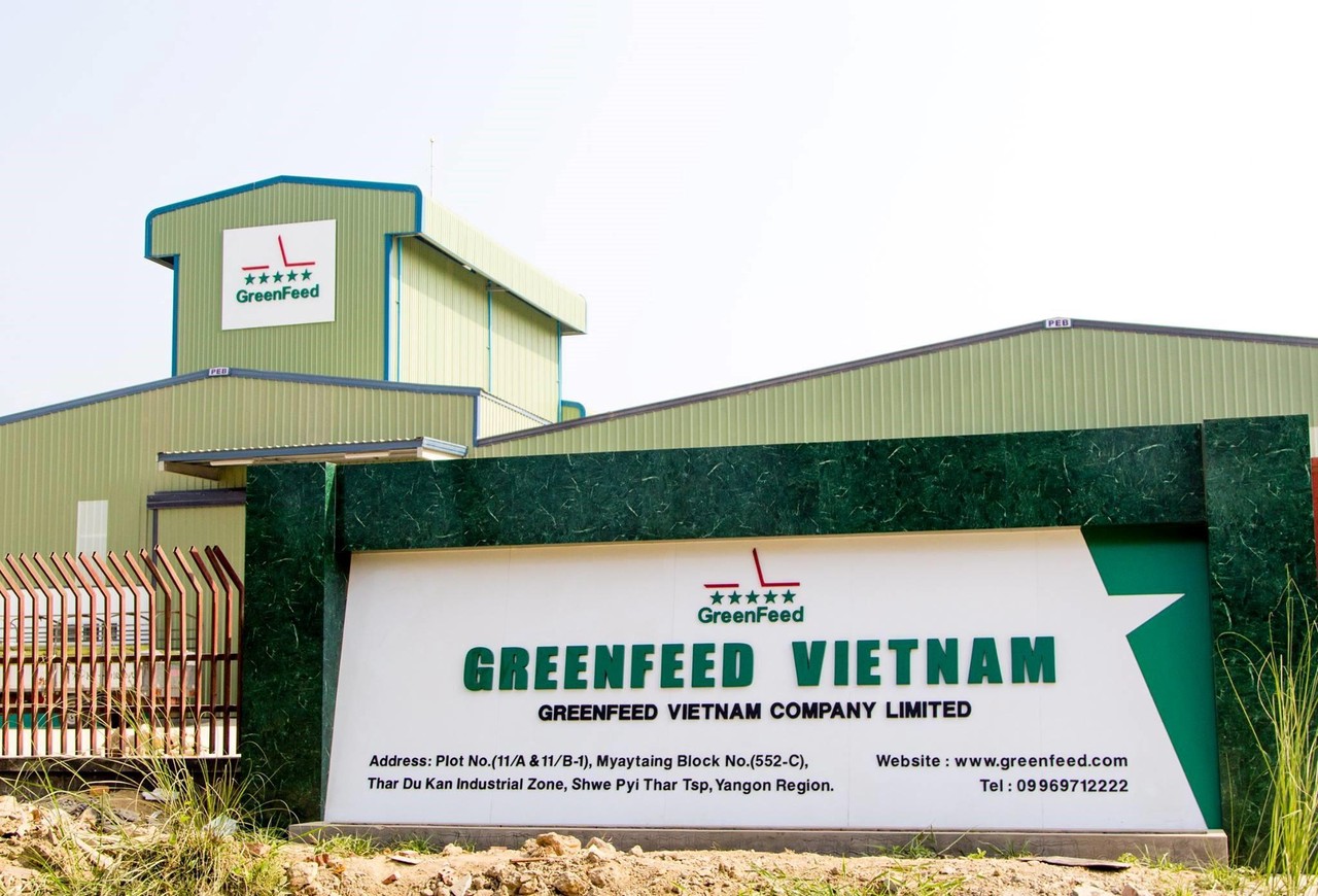 Trang trại và con giống  GREENFEED Việt Nam