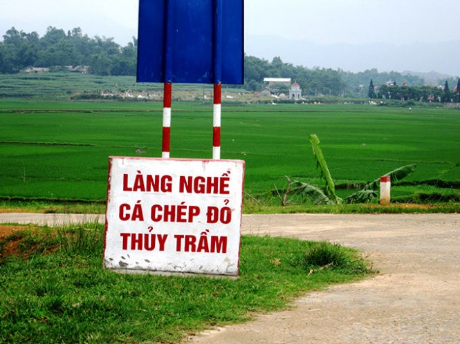 Thăm làng cá chép ông Công ông Táo ảnh 1