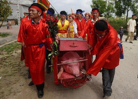 Báo quốc tế viết về lễ hội chém lợn của Việt Nam ảnh 2