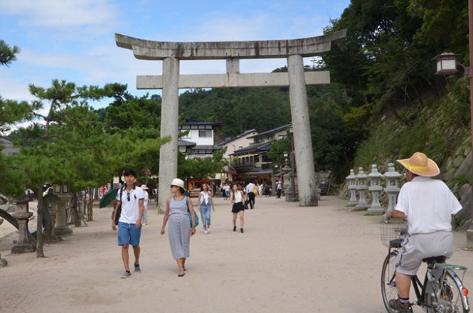 Những “công dân” hươu trên đảo Miyajima ảnh 9