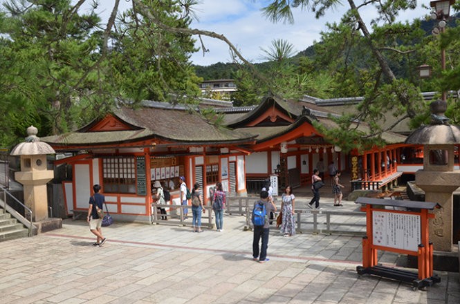Những “công dân” hươu trên đảo Miyajima ảnh 10