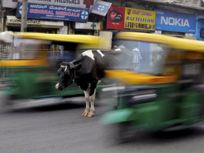 Reuters công bố 25 bức ảnh nóng nhất trên mạng xã hội năm 2015 ảnh 9