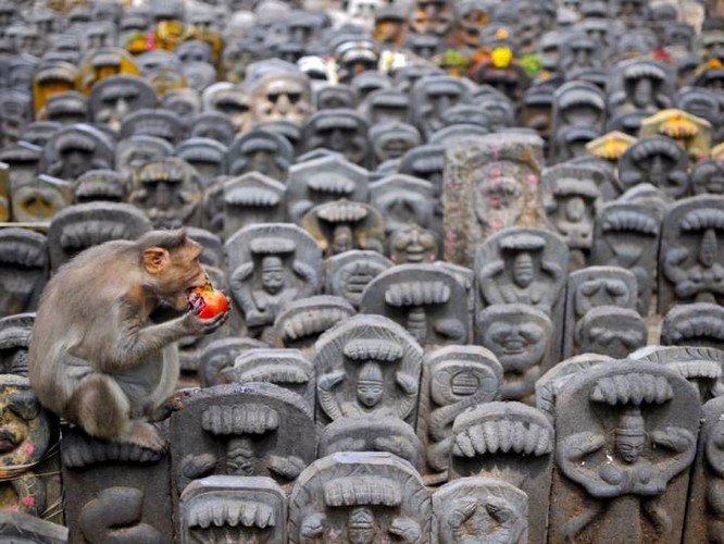 Reuters công bố 25 bức ảnh nóng nhất trên mạng xã hội năm 2015 ảnh 17