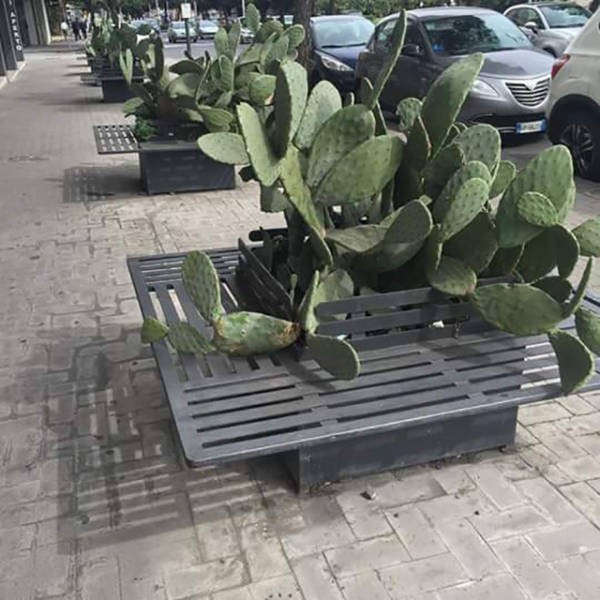 Cười bể bụng với những kiểu phát minh lãng nhách nhất ảnh 1