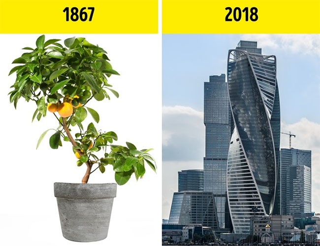 5 khám phá ngẫu nhiên thay đổi lịch sử loài người ảnh 1