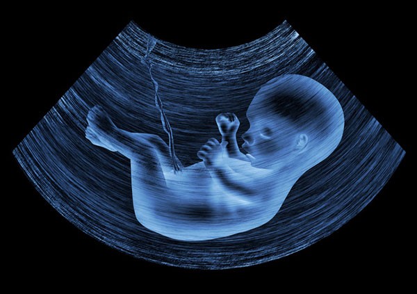 13 điều tuyệt đối không nên chia sẻ trên mạng xã hội ảnh 12