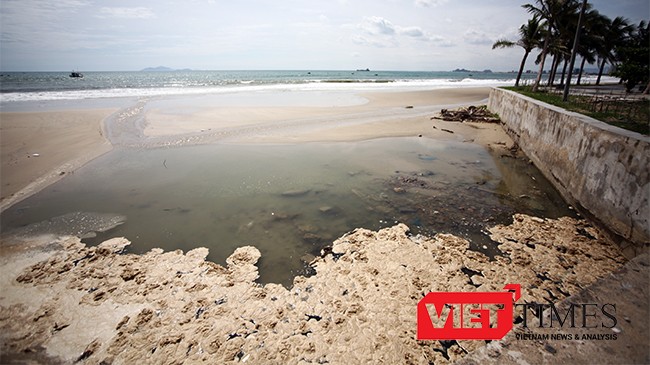 Đà Nẵng, du lịch, ô nhiễm, tàn phá, biển, Sơn Trà, phá rừng, đối thoại, Huỳnh Tấn Vinh, VietTimes