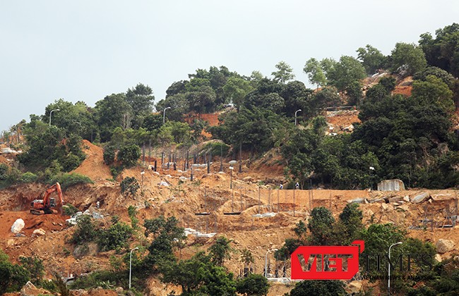 Đà Nẵng, Hiệp hội du lịch, Sơn Trà, Voọc chà vá chân nâu, linh trưởng, môi trường, lên tiếng, VietTimes, Thủ tướng
