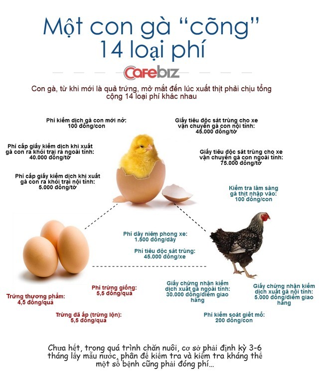 Bộ Tài chính 'cởi trói' 14 loại phí cho gà ảnh 1