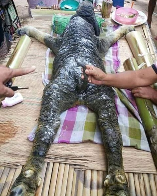 Con quái thú bí ẩn khiến dân làng sợ hãi