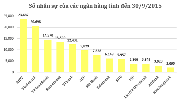Lương thưởng ngân hàng giảm mạnh, SHB "một mình một ngựa" ảnh 2