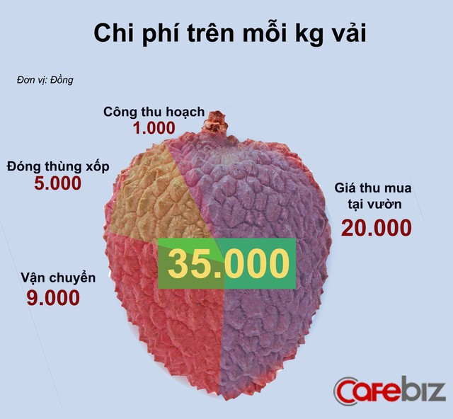 Vì sao quả vải xuất khẩu sang Mỹ, Úc không giải quyết vấn đề gì? ảnh 2
