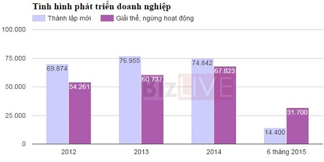 Ngành nào có nhiều doanh nghiệp “chết” nhất ở Việt Nam? ảnh 1