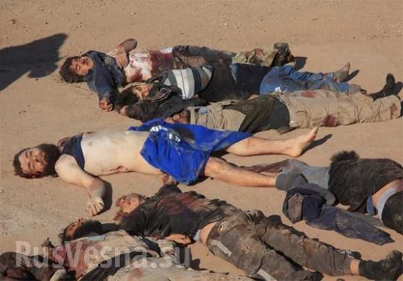 Aleppo, hàng trăm chiến binh IS bị tiêu diệt ảnh 4