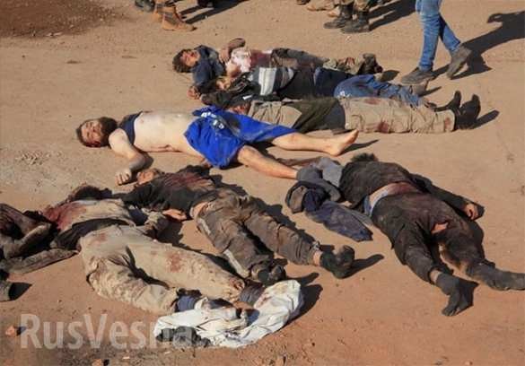 Aleppo, hàng trăm chiến binh IS bị tiêu diệt ảnh 5