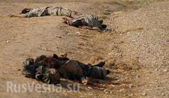 Aleppo, hàng trăm chiến binh IS bị tiêu diệt ảnh 6