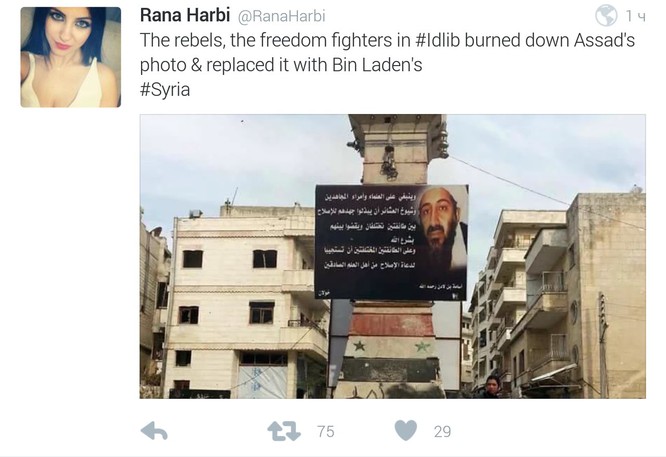 Syria dồn ép khủng bố, Nga tăng hỏa lực, nóng bỏng cuộc đấu chính trị ảnh 1