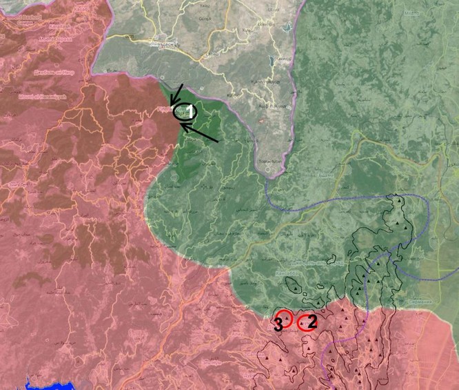 Quân đội Syria đẩy mạnh tấn công ở Aleppo, bắt đầu đàm phán Geneve về Syria ảnh 11