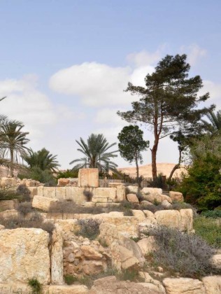Cận cảnh thành phố Palmyra sau khi giải phóng (ảnh + video) ảnh 20