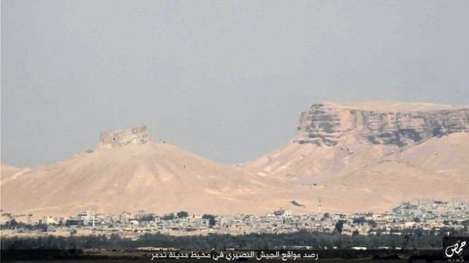Quân đội Syria đánh chiếm khu hạt giống Palmyra ảnh 3
