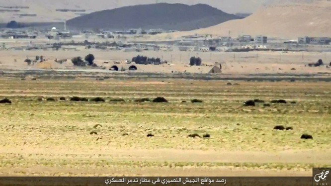 Quân đội Syria đánh chiếm khu hạt giống Palmyra ảnh 4
