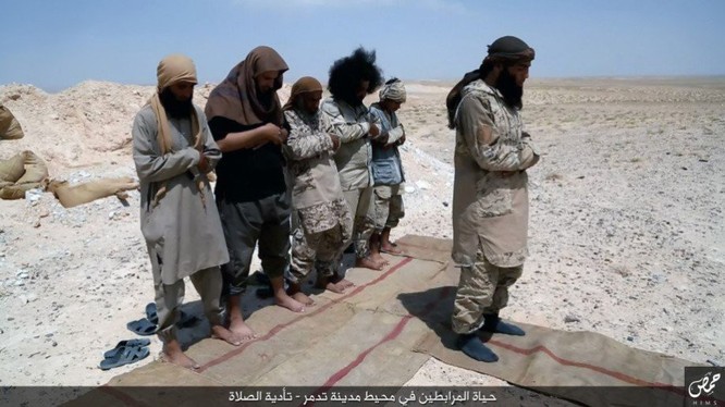 Quân đội Syria đánh chiếm khu hạt giống Palmyra ảnh 14