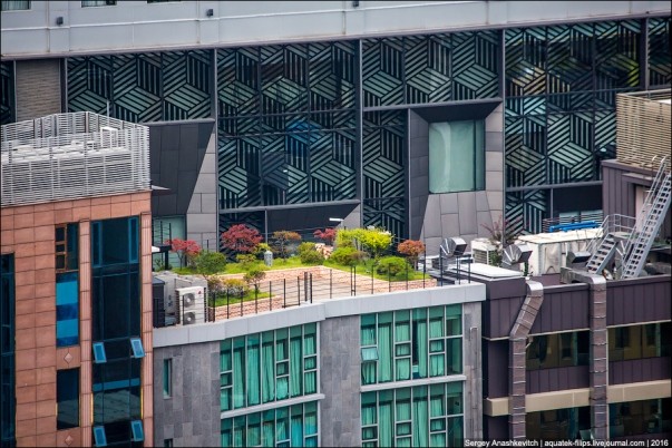 Thành phố Seoul Hàn Quốc đã trở thành thành phố xanh thế nào? ảnh 4