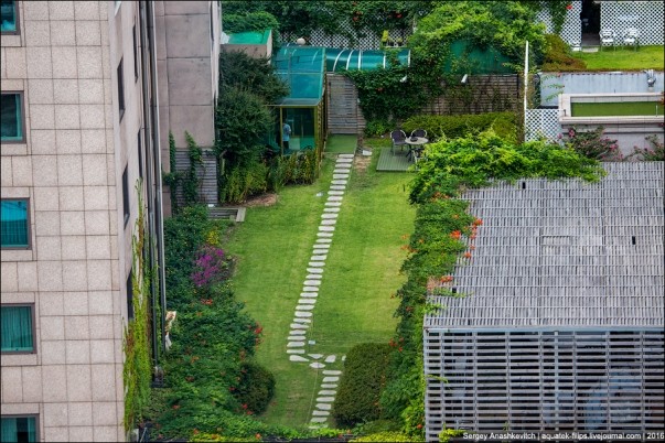Thành phố Seoul Hàn Quốc đã trở thành thành phố xanh thế nào? ảnh 5