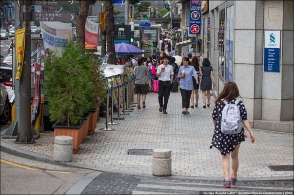 Thành phố Seoul Hàn Quốc đã trở thành thành phố xanh thế nào? ảnh 12