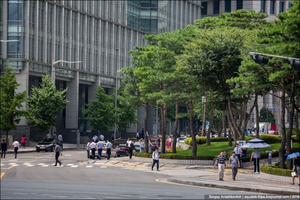 Thành phố Seoul Hàn Quốc đã trở thành thành phố xanh thế nào? ảnh 14