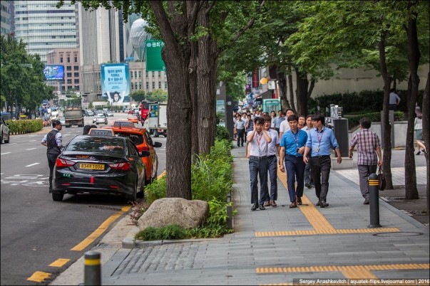 Thành phố Seoul Hàn Quốc đã trở thành thành phố xanh thế nào? ảnh 15