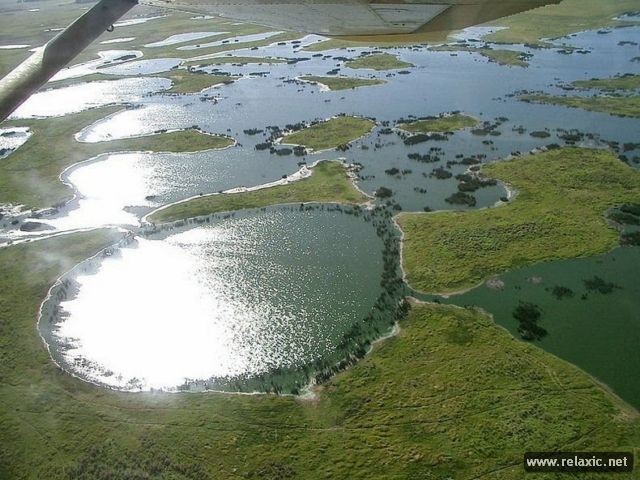 Kỳ thú khu tự nhiên hoang dã Pantanal - Brazil ảnh 11