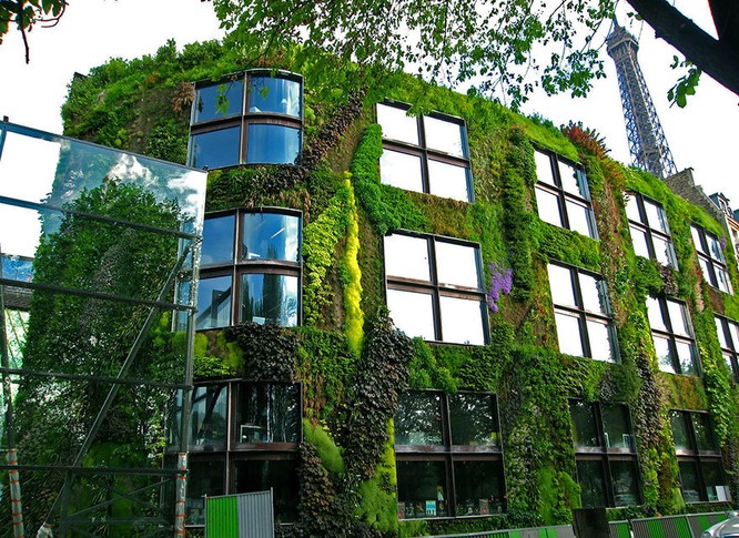 Paris tráng lệ sẽ còn xanh và đẹp hơn ảnh 1