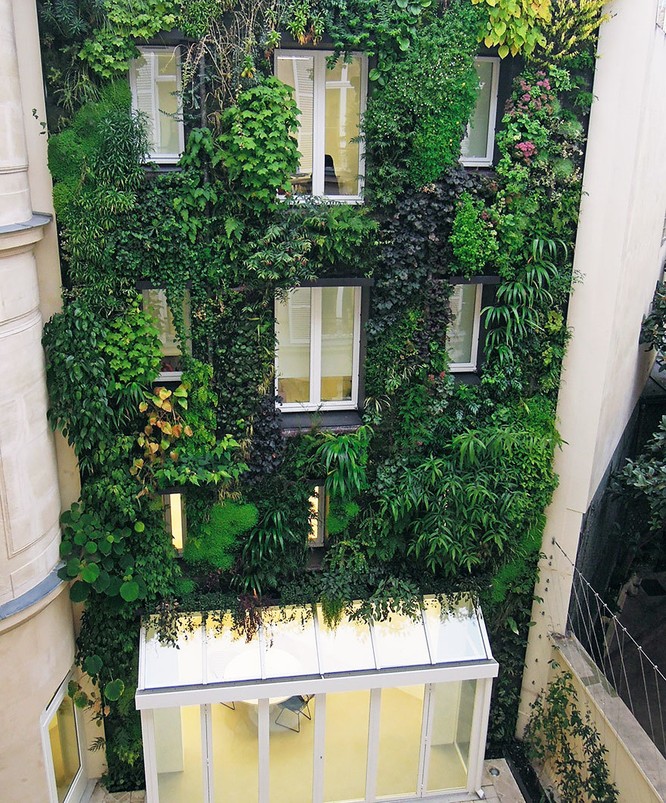 Paris tráng lệ sẽ còn xanh và đẹp hơn ảnh 4