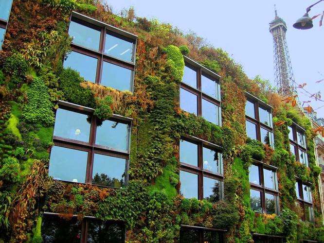 Paris tráng lệ sẽ còn xanh và đẹp hơn ảnh 5