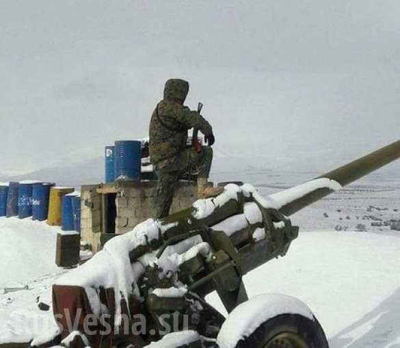 Trận chiến Palmyra: Quân đội Syria phản công, Hezbollah tăng binh lực chống IS ảnh 8