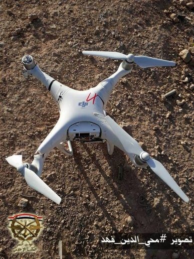 Quân đội Syria tung chiến dịch giải phóng sa mạc Homs ảnh 2
