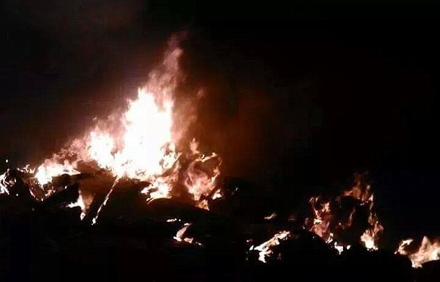 Quân đội Syria từng bắn hạ “Quái thú” Mỹ ở Latakia ảnh 7